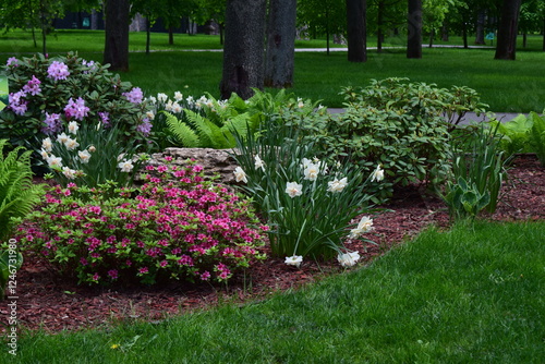 A well-maintained garden with various plants and flowers. Purple and White Flourish