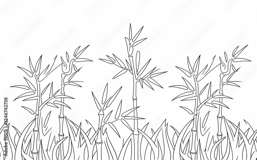 Obraz premium bamboo vector illustration Coloring Pages Book for Kids, Food, Animals, Wonderland & Fairy Tale Outlined Pages White becground 