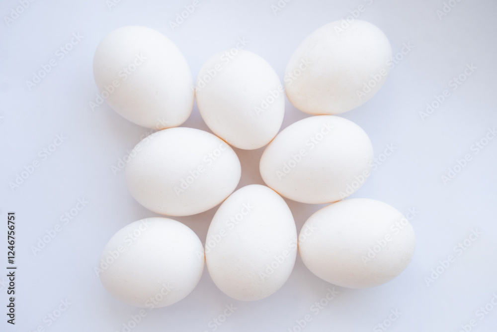 eight white chicken eggs on a white background eight white chicken eggs on a white background