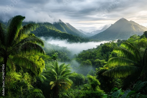 A tropical rainforest filled with exotic trees, mist, and wildlife photo