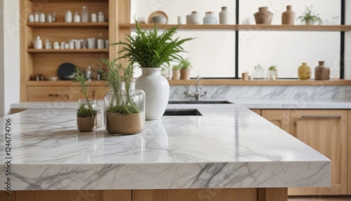 Modern kitchen island with marble countertop and potted plants