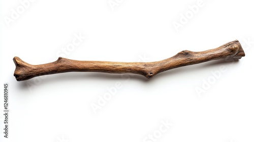 Elegant wooden walking cane isolated on white
