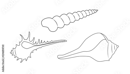 Set of black and white silhouette of seashell. Monochrome outline drawing. Vector illustration. Design element for coloring, cards, printing, packaging, invitations, advertising.