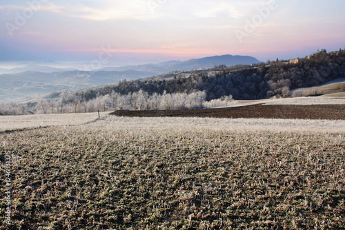 brina sui campi e sulle colline parmensi in una mattina d'inverno photo