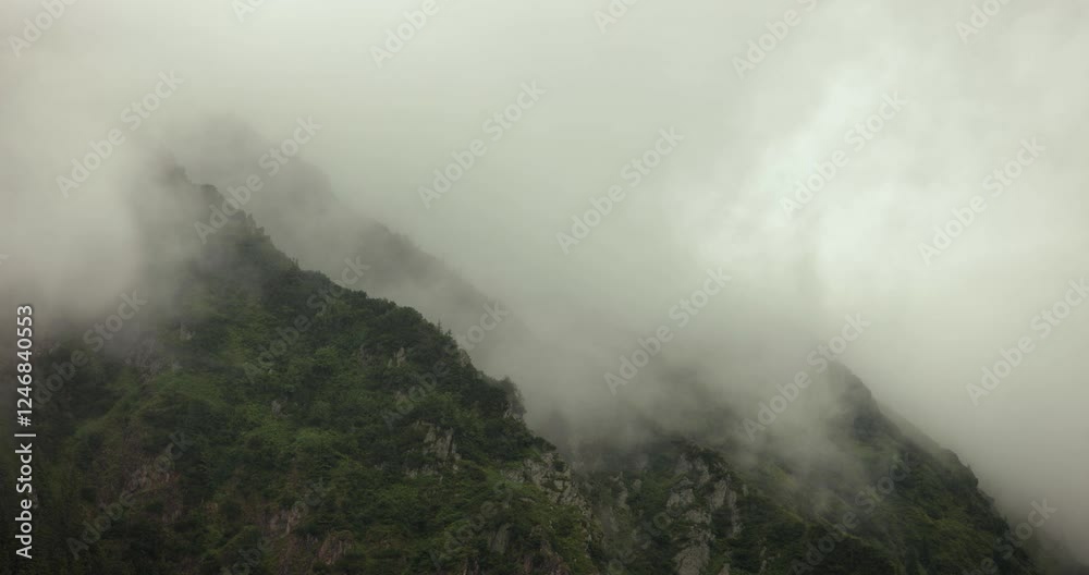 Foggy forest mountain landscape, clouds moving Foggy forest mountain landscape, clouds moving