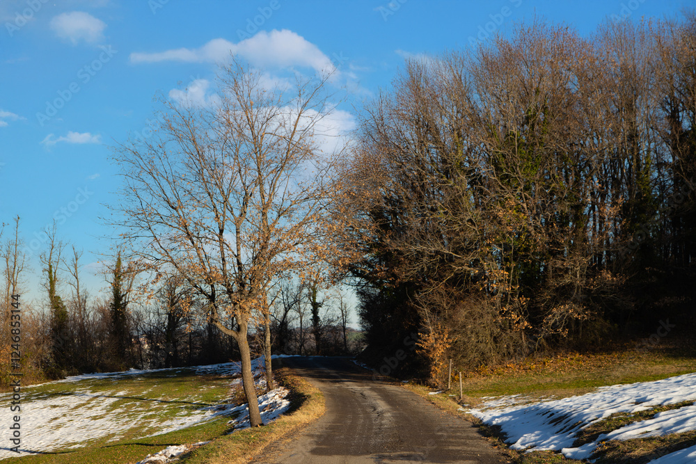 Peaceful Emilia winter landscape with rolling snowy hills and a charming rural road. Peaceful Emilia winter landscape with rolling snowy hills and a charming rural road.