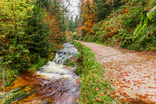 Wanderweg an den Allerheiligen Wasserfällen im Schwarzwald bei Oppenau