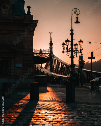 Photography Budapest Liberty bridge