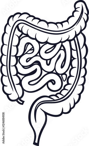 Intestines organ vector Illustration. Intestines vector art with white background. 