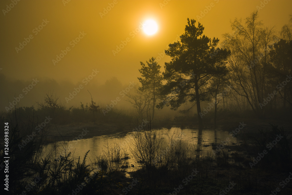 Fototapeta premium Small pond in misty forest with sunrise