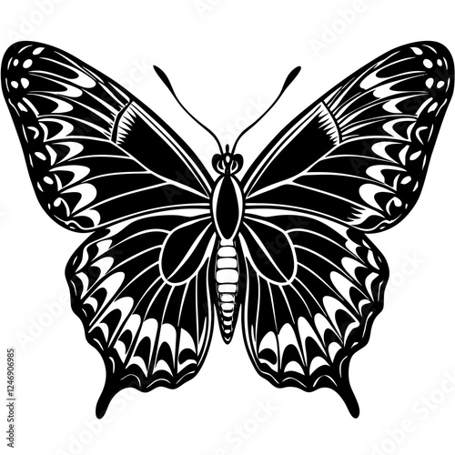  admiral butterfly on white background