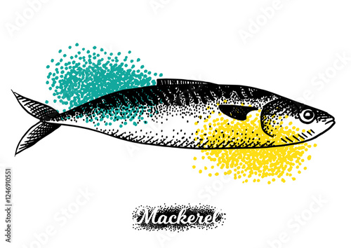 Mackerel fish drawing isolated on white background for menu design.  Vintage engraved sketch. Seafood dot drawing collection