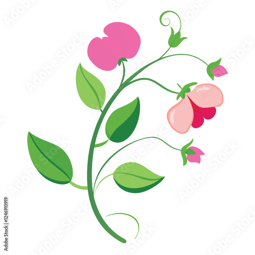 Creative Different summer flowers and gardening design on a white background
