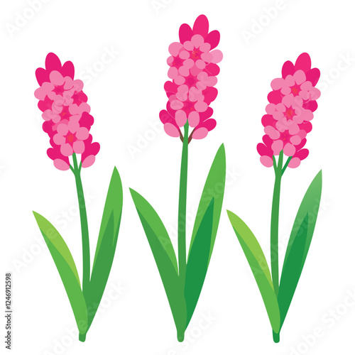 Beautiful pink and white flowers with green leaves bloom naturally on a white background