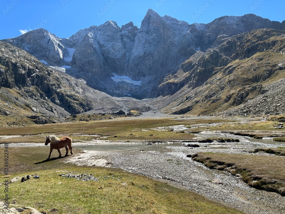 Dando un paseo por el Vignemale, pirineo francés. Caballos y paisajes de alta montaña,Lago e ibón Dando un paseo por el Vignemale, pirineo francés. Caballos y paisajes de alta montaña,Lago e ibón