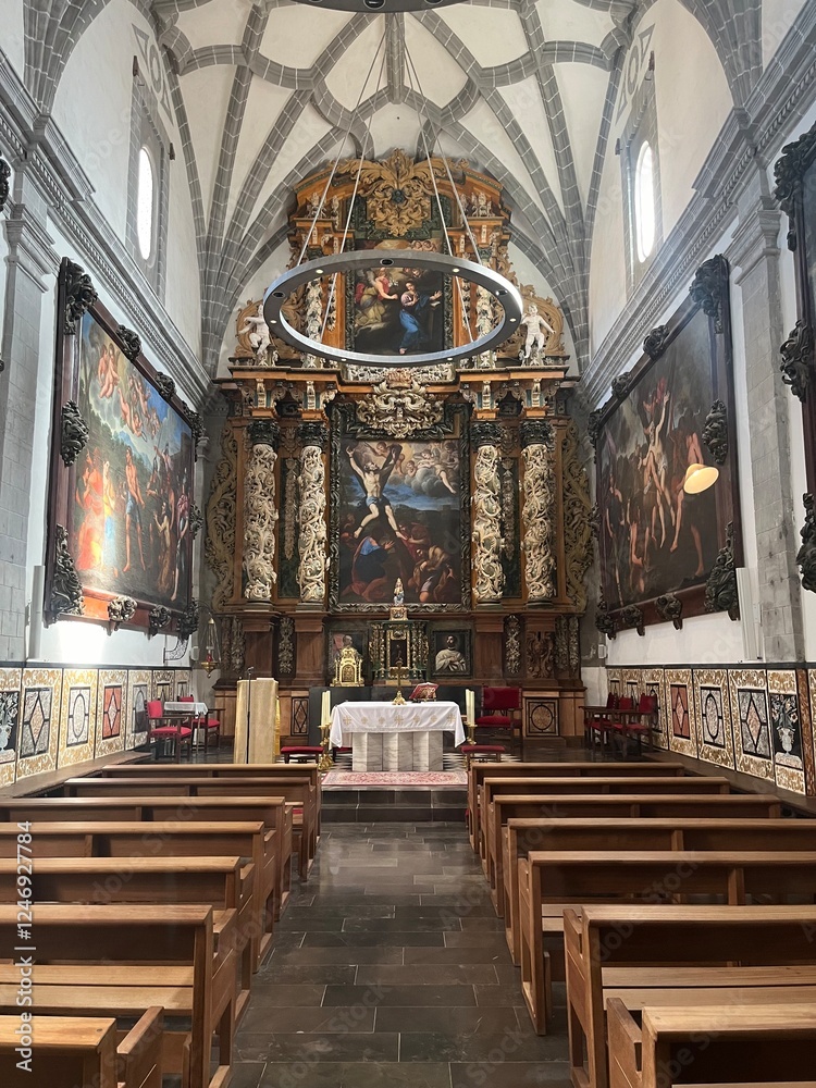 Obraz premium Catedral de Tarazona, arcos, techos y detalles de todo el edificio