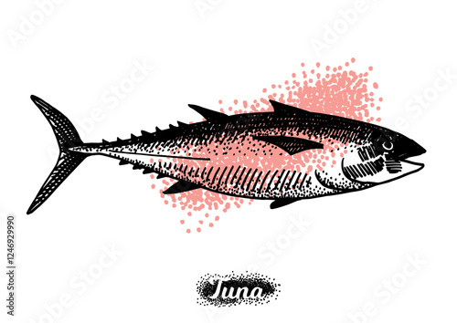Tuna fish drawing isolated on white background for menu design.  Vintage engraved sketch. Seafood dot drawing collection