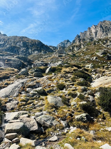 Alta montaña pirineo aragonés y pirineo francés
