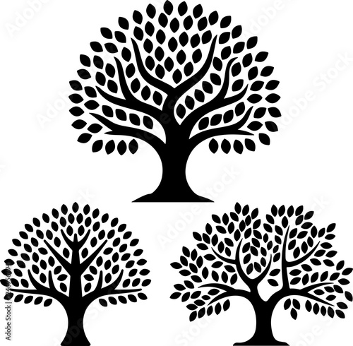 Sacred Symbol of Wisdom, Life and Spiritual Growth