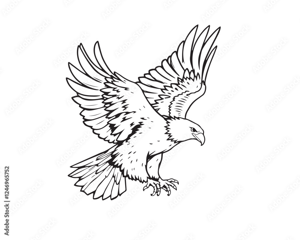 Obraz premium line art illustration of an eagle, lively, energetic style, black and white, clear background, vector