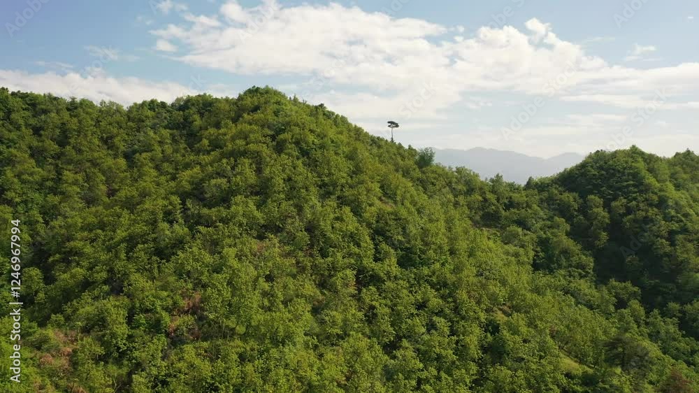 Exploring emerald green mountains in spring with breathtaking aerial views and clear skies Exploring emerald green mountains in spring with breathtaking aerial views and clear skies