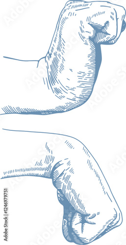 Pen and ink style, wrist joint rehabilitation exercise illustrations. Exercise 6