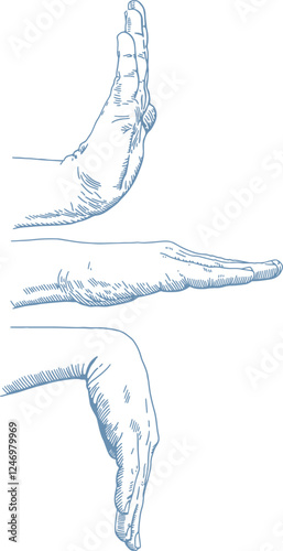 Pen and ink style, wrist joint rehabilitation exercise illustrations. Exercise 2