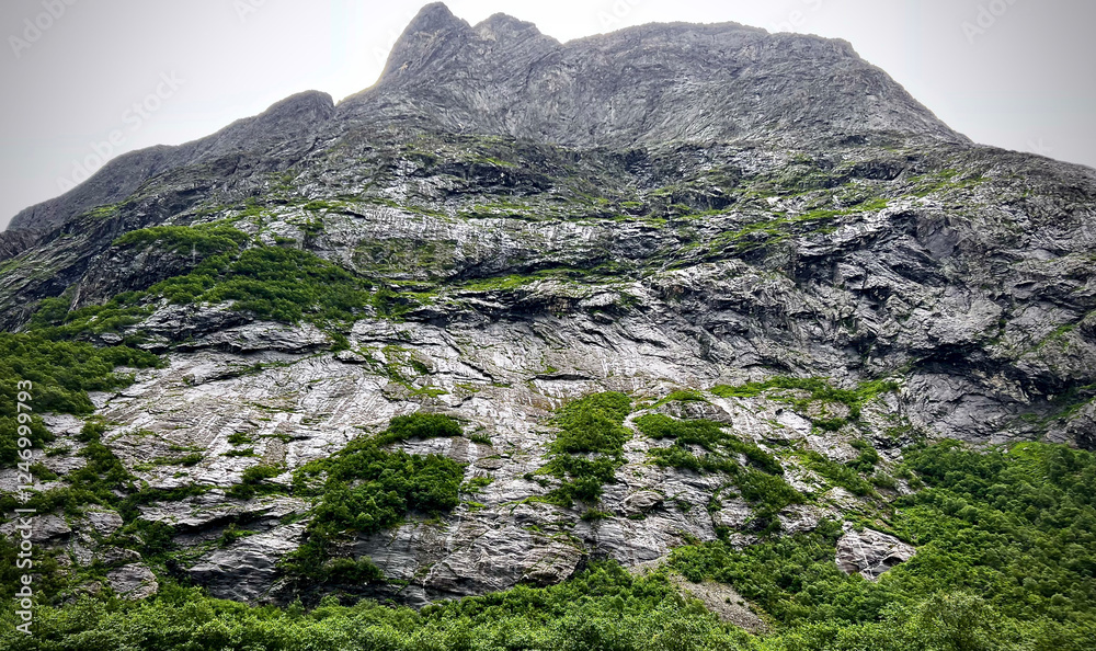 Fototapeta premium rocks in the mountains