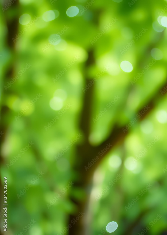 Obraz premium Abstract blur green nature for background bokeh green bokeh green abstract background light bright blur pattern