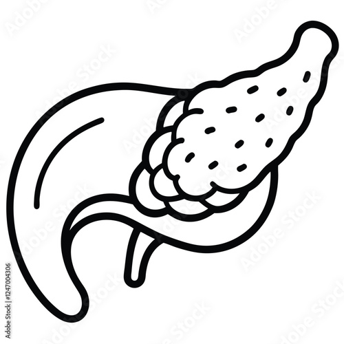 Pancrea. vector art with white background. Pancreas human organ, medical model in cartoon style isolated on white background stock vector illustration .