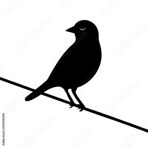 bird on a branch