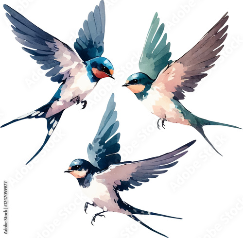 set with swallows in watercolor style. watercolor birds swallows