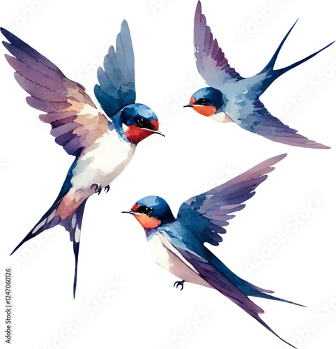 set with swallows in watercolor style. watercolor birds swallows