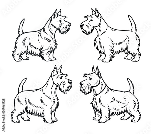 Minimalist, black-and-white line art illustration of a Scottish terrier dog