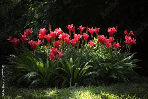 Vibrant pink flowers bloom amidst lush green foliage in a serene outdoor setting