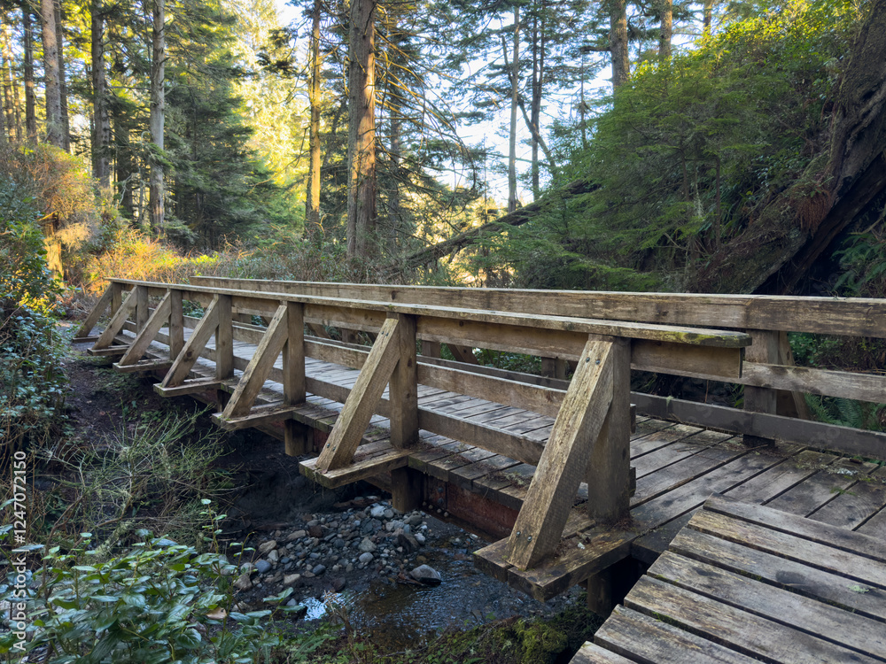 A wooden bridge over a river in the forest A wooden bridge over a river in the forest