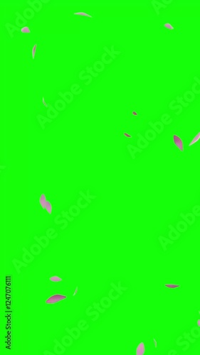 Falling Petals Pink – 9:16 Green Screen | ピンク色花びらのパーティクルアニメーション　縦動画　グリーンバック
