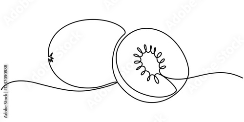 Continuous one single line drawing of kiwi fruit. Vector illustration, Continuous one line drawing of whole and sliced healthy organic kiwi for orchard logo identity. Fresh hairy fruitage concept.