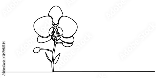 Phalaenopsis Orchid Flowers Continuous Line Drawing with Editable Stroke, Beautiful orchids line art pattern. Exotic flowers drawing on simple background, Collection of orchid flowers in vector.  pro.