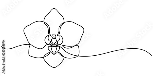 Phalaenopsis Orchid Flowers Continuous Line Drawing with Editable Stroke, Beautiful orchids line art pattern. Exotic flowers drawing on simple background, Collection of orchid flowers in vector.  pro.