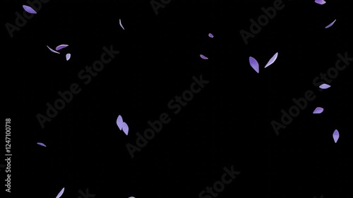 Falling Petals Purple – 16:9 Transparent |紫色花びらのパーティクルアニメーション　背景透過