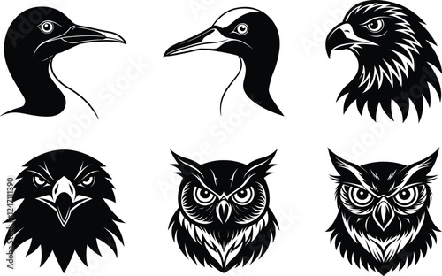 Six Bird Head Illustrations Eagle, Owl, and Waterfowl Designs