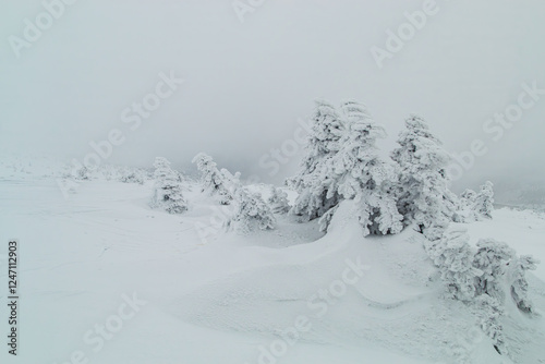 Fototapeta Naklejka Na Ścianę i Meble -  Karkonosze mountains covered with snow, Lower Silesia Poland.