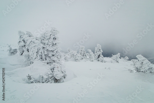 Fototapeta Naklejka Na Ścianę i Meble -  Karkonosze mountains covered with snow, Lower Silesia Poland.