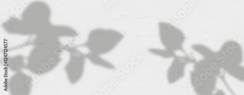 Abstract shadow of leaves and branches on white concrete wall.Soft overlay of natural light.Tropical blurred leaf.Natural light layout.