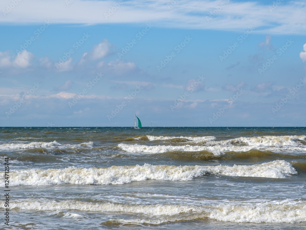 Fototapeta premium Bergen aan Zee