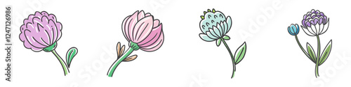Illustration of an Allium Flower in Detail - A detailed illustration of a vibrant allium flower, showcasing its unique spherical bloom and slender green stem.