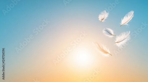 Obraz na płótnie Floating feathers sunset sky w salonie