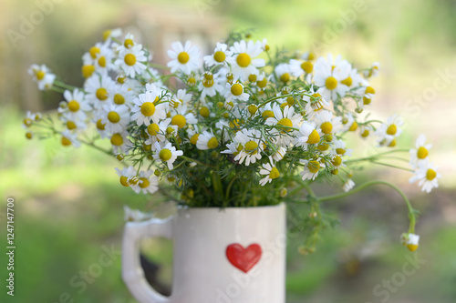 Chamomile flowers in a cup with a heart