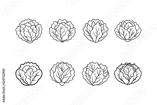 Lettuce Sativa Linocut Vector Illustration with Labels